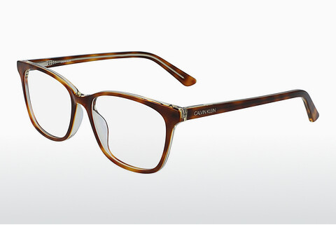 Дизайнерские  очки Calvin Klein CK20509 241