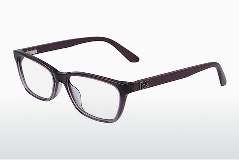 Дизайнерские  очки Calvin Klein CK20530 515
