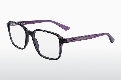 Дизайнерские  очки Calvin Klein CK23524 528
