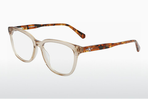 Дизайнерские  очки Calvin Klein CKJ21607 274