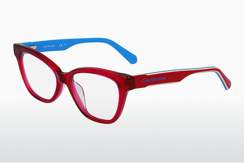Дизайнерские  очки Calvin Klein CKJ23304 679