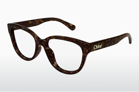 Дизайнерские  очки Chloé CH0243O 006