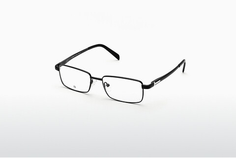 Дизайнерские  очки EcoLine TH1009 02