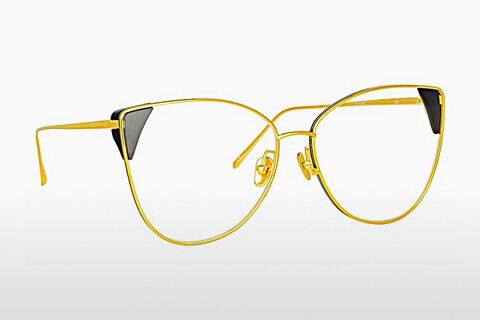 Дизайнерские  очки Linda Farrow LFL1028 C5