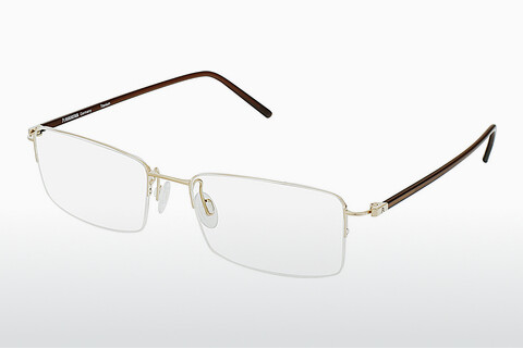 Дизайнерские  очки Rodenstock R7074 D