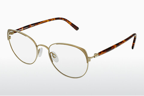 Дизайнерские  очки Rodenstock R7088 C
