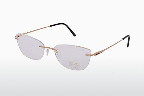 Дизайнерские  очки Silhouette Atelier G025/AK D1E8