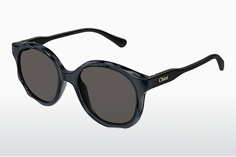 Солнцезащитные очки Chloé CC0019S 001