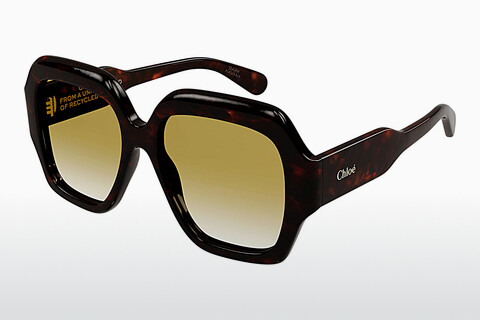 Солнцезащитные очки Chloé CH0154S 002