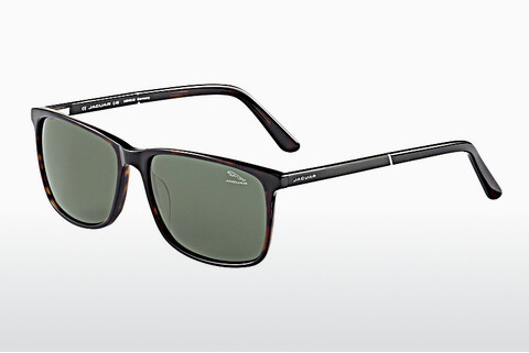 Солнцезащитные очки Jaguar 37120 8940