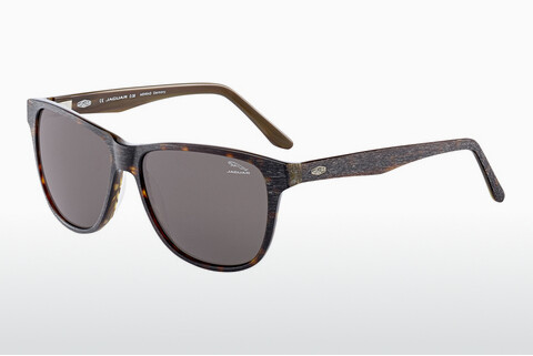 Солнцезащитные очки Jaguar 37161 6133