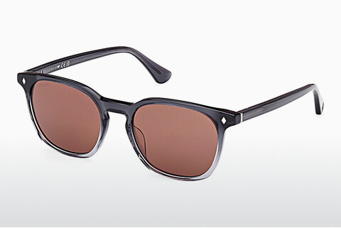 Солнцезащитные очки Web Eyewear WE0364 20S