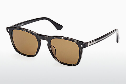 Солнцезащитные очки Web Eyewear WE0365 05E