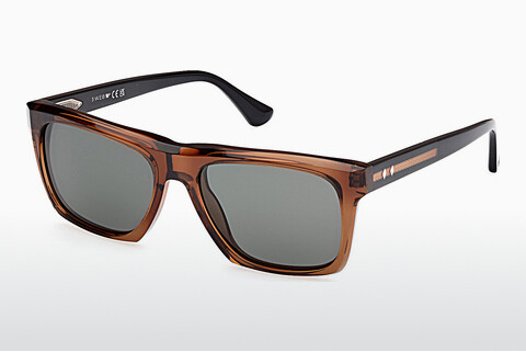 Солнцезащитные очки Web Eyewear WE0367 50D