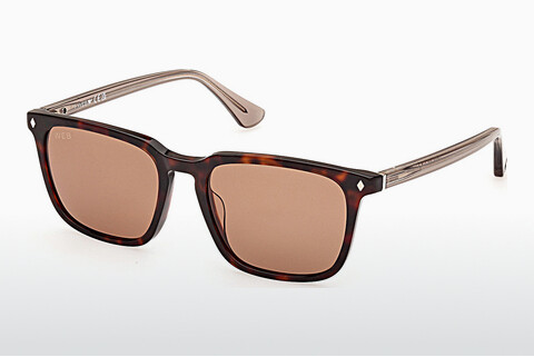 Солнцезащитные очки Web Eyewear WE0369 56E