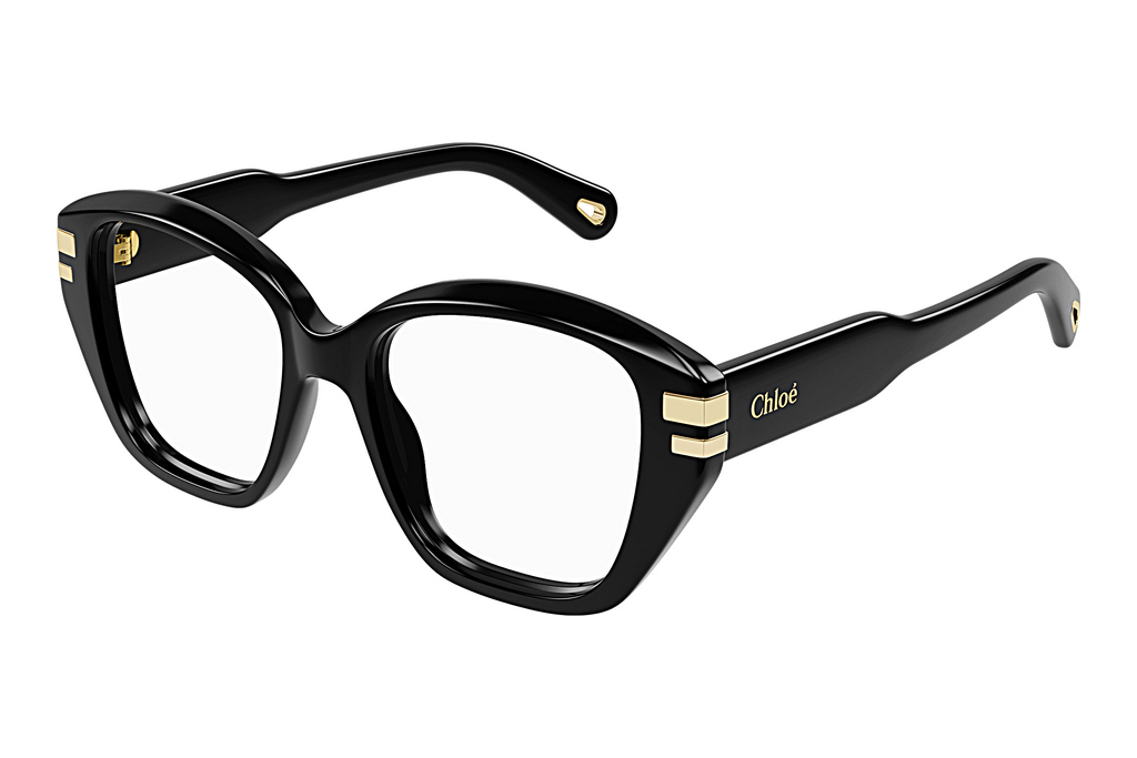 Chloé   CH0267O 001 BLACK