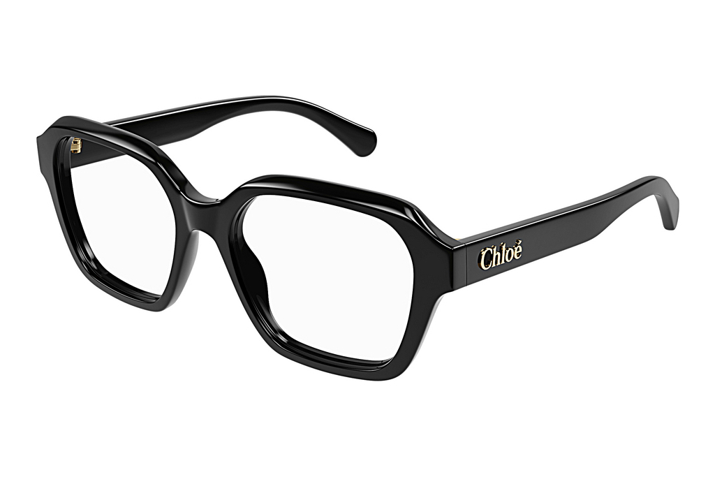 Chloé   CH0272O 001 BLACK