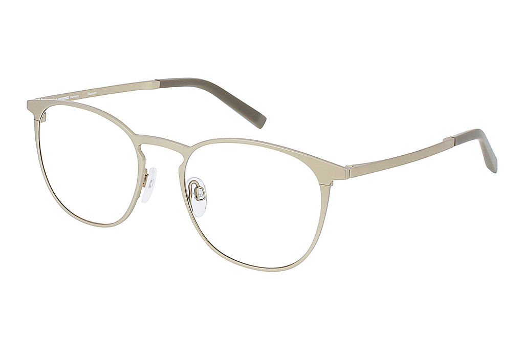 Rodenstock   R7126 B gold, grey