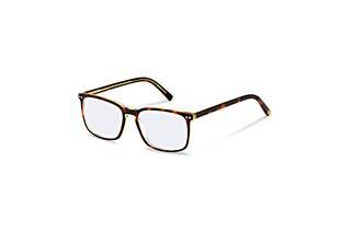 Rocco by Rodenstock RR448 B havana layered