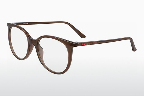 Дизайнерские  очки Calvin Klein CK19508 210