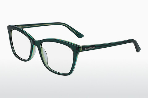 Дизайнерские  очки Calvin Klein CK19529 361
