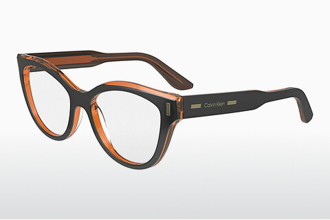 Дизайнерские  очки Calvin Klein CK23541 008