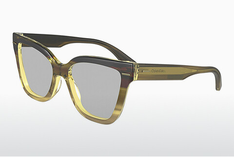 Дизайнерские  очки Calvin Klein CK23543 317