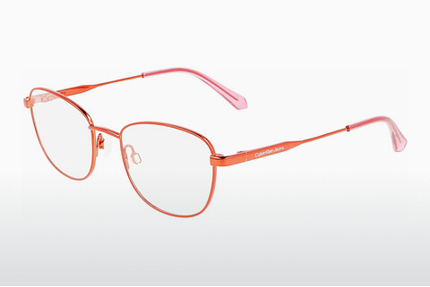 Дизайнерские  очки Calvin Klein CKJ22306 679