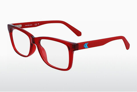 Дизайнерские  очки Calvin Klein CKJ23301 600