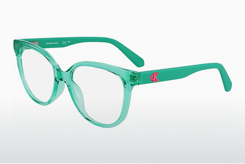 Дизайнерские  очки Calvin Klein CKJ23303 300