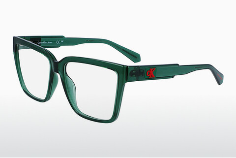 Дизайнерские  очки Calvin Klein CKJ23625 300