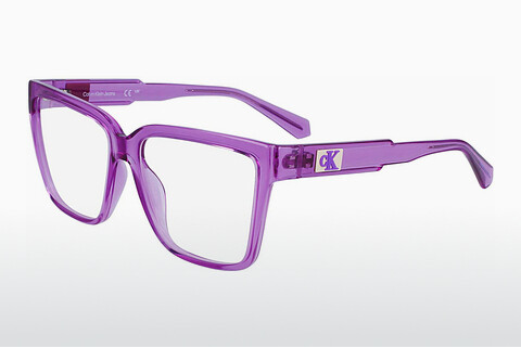 Дизайнерские  очки Calvin Klein CKJ23625 500