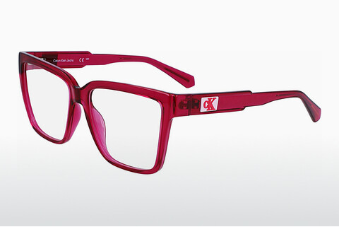 Дизайнерские  очки Calvin Klein CKJ23625 510