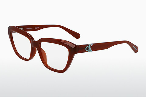 Дизайнерские  очки Calvin Klein CKJ23644 210
