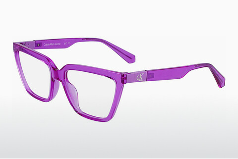 Дизайнерские  очки Calvin Klein CKJ23648 540