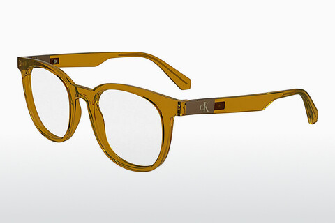 Дизайнерские  очки Calvin Klein CKJ24613 261