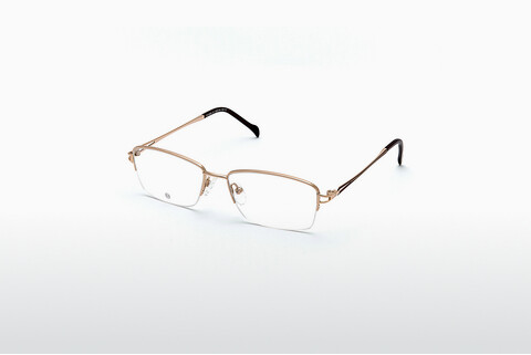 Дизайнерские  очки EcoLine TH1005 01
