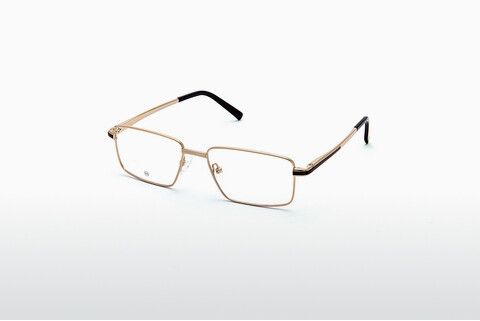 Дизайнерские  очки EcoLine TH1006 01
