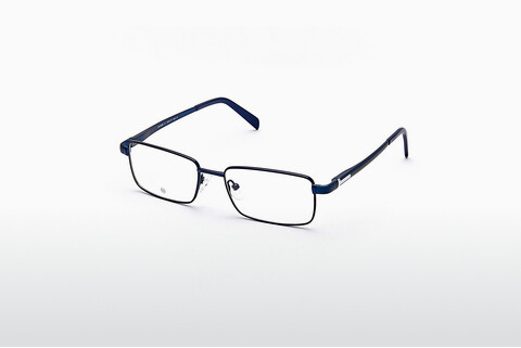 Дизайнерские  очки EcoLine TH1009 01