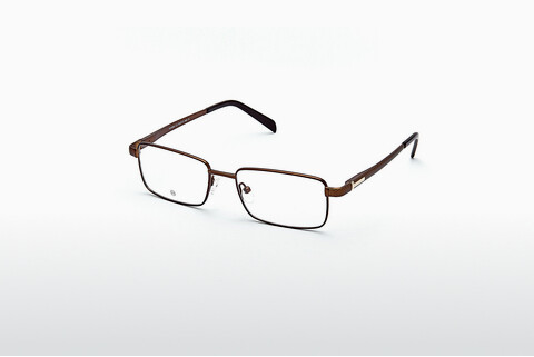 Дизайнерские  очки EcoLine TH1009 03