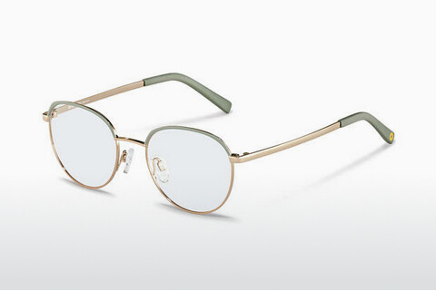 Дизайнерские  очки Rocco by Rodenstock RR219 B