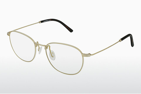 Дизайнерские  очки Rodenstock R2617 B