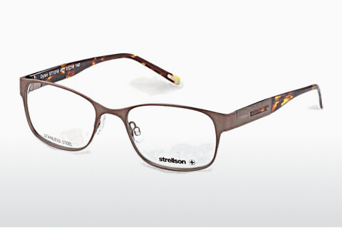 Дизайнерские  очки Strellson Dylan (ST1016 401)