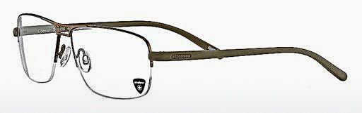 Дизайнерские  очки Strellson Chester (ST1036 401)