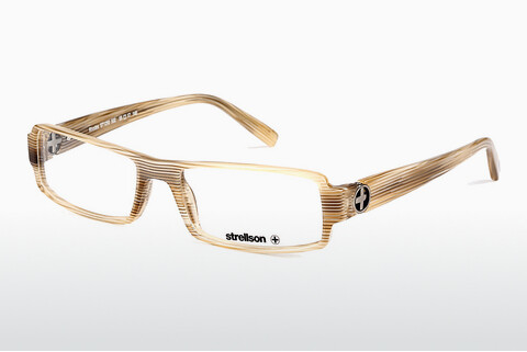 Дизайнерские  очки Strellson Rhodes (ST1250 502)