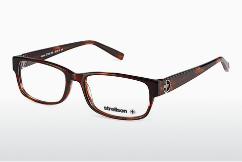 Дизайнерские  очки Strellson Gazebo (ST1252 550)