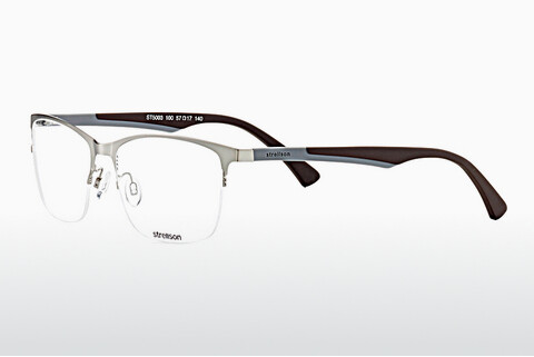 Дизайнерские  очки Strellson ST5003 100