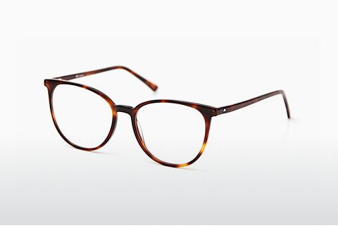 Дизайнерские  очки Sur Classics Giselle (12521 havana)