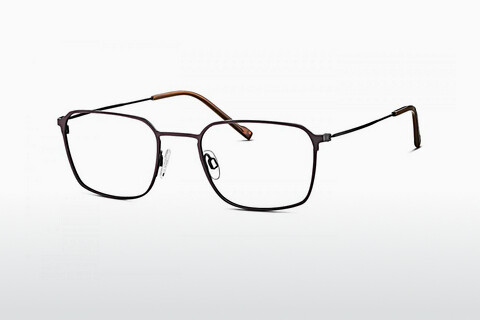 Дизайнерские  очки TITANFLEX EBT 820839 50