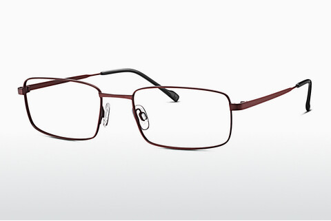 Дизайнерские  очки TITANFLEX EBT 820849 50